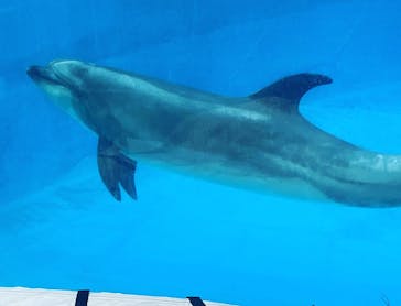 名古屋港水族館に投稿された画像（2021/8/13）
