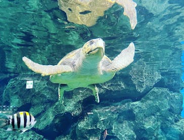 名古屋港水族館に投稿された画像（2021/8/13）