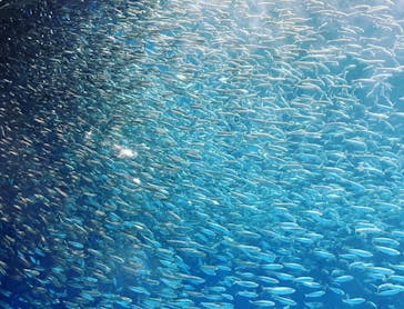 名古屋港水族館に投稿された画像（2021/8/13）