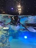 すみだ水族館に投稿された画像（2021/8/13）