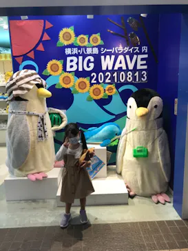 横浜・八景島シーパラダイスに投稿された画像（2021/8/13）