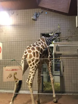 天王寺動物園に投稿された画像（2021/8/13）