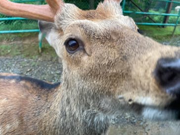 東北サファリパークに投稿された画像（2021/8/13）
