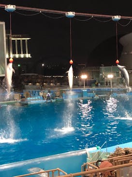 名古屋港水族館に投稿された画像（2021/8/13）