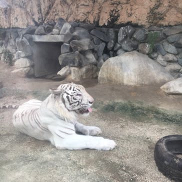 東武動物公園に投稿された画像（2021/8/13）
