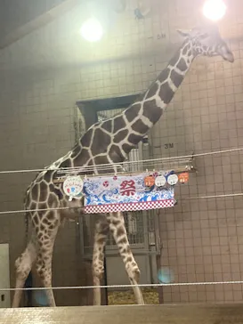 天王寺動物園に投稿された画像（2021/8/13）