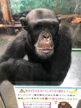 伊豆シャボテン動物公園に投稿された画像（2021/8/13）