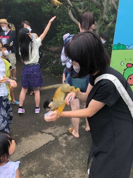 伊豆シャボテン動物公園に投稿された画像（2021/8/13）