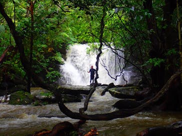 西表島 ADVENTURE PiPi（アドベンチャーピピ）に投稿された画像（2021/8/13）