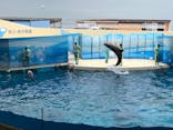 新江ノ島水族館に投稿された画像（2021/8/13）