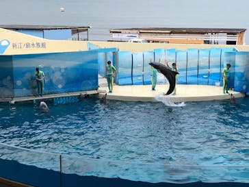 新江ノ島水族館に投稿された画像（2021/8/13）