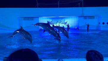 南知多ビーチランド＆南知多おもちゃ王国に投稿された画像（2021/8/13）