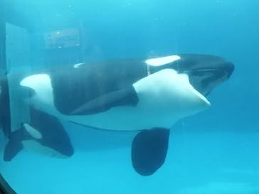 名古屋港水族館に投稿された画像（2021/8/13）