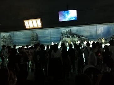 名古屋港水族館に投稿された画像（2021/8/13）