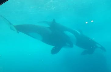 名古屋港水族館に投稿された画像（2021/8/13）