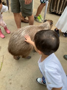 神戸どうぶつ王国に投稿された画像（2021/8/13）