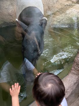 神戸どうぶつ王国に投稿された画像（2021/8/13）