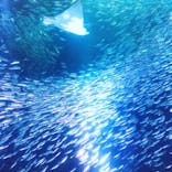 名古屋港水族館に投稿された画像（2021/8/14）
