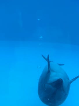 名古屋港水族館に投稿された画像（2021/8/13）