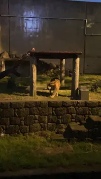 天王寺動物園に投稿された画像（2021/8/14）