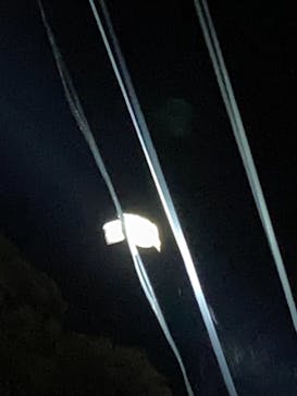 ミッドナイトツアー 奄美に投稿された画像（2021/8/14）