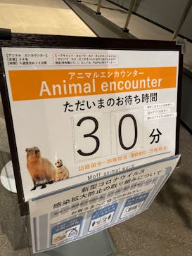 Moff animal world MARK IS みなとみらい店に投稿された画像（2021/8/14）