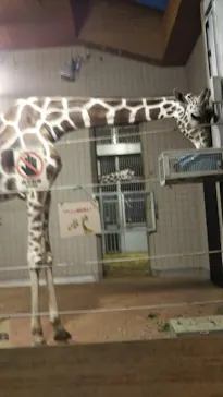 天王寺動物園に投稿された画像（2021/8/14）