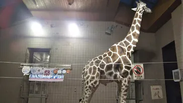 天王寺動物園に投稿された画像（2021/8/14）