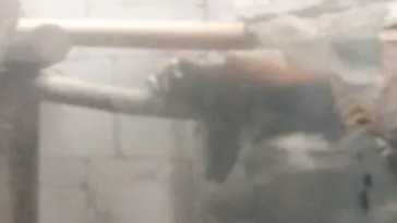 天王寺動物園に投稿された画像（2021/8/14）