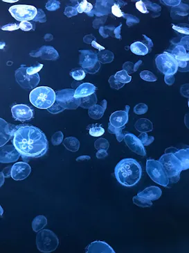 すみだ水族館に投稿された画像（2021/8/14）
