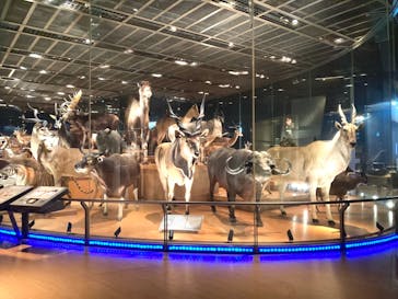 国立科学博物館に投稿された画像（2021/8/14）