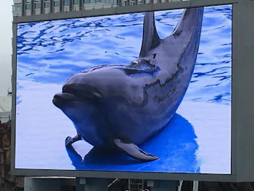 名古屋港水族館に投稿された画像（2021/8/14）