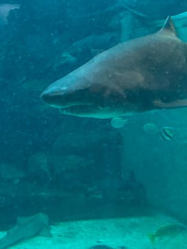 株式会社Gに投稿された画像（2021/8/14）