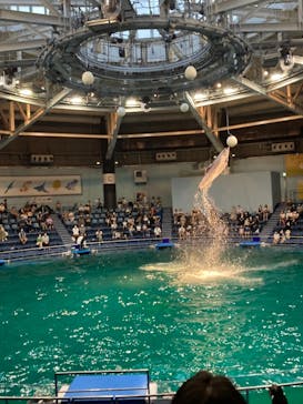 マクセル アクアパーク品川に投稿された画像（2021/8/14）