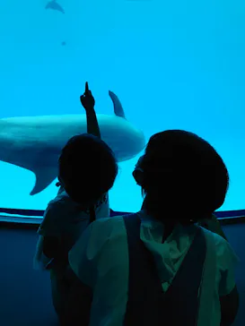 名古屋港水族館に投稿された画像（2021/8/14）