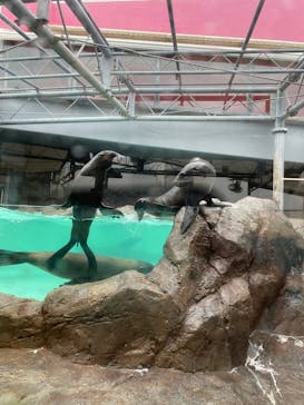 鳥羽水族館に投稿された画像（2021/8/14）