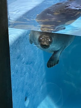 鳥羽水族館に投稿された画像（2021/8/14）