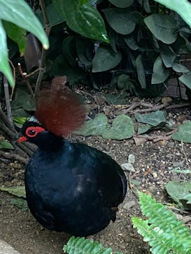 神戸どうぶつ王国に投稿された画像（2021/8/14）