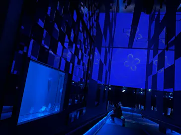 すみだ水族館に投稿された画像（2021/8/14）