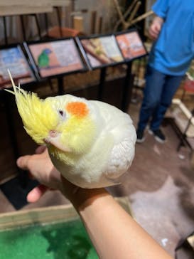 Moff animal world MARK IS みなとみらい店に投稿された画像（2021/8/14）