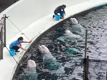 横浜・八景島シーパラダイスに投稿された画像（2021/8/14）