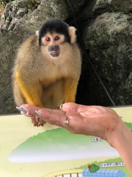 伊豆シャボテン動物公園に投稿された画像（2021/8/14）