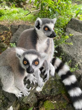 伊豆シャボテン動物公園に投稿された画像（2021/8/14）