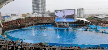 名古屋港水族館に投稿された画像（2021/8/14）