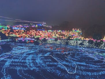 伊豆ぐらんぱる公園に投稿された画像（2021/8/14）