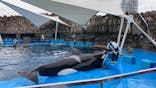 名古屋港水族館に投稿された画像（2021/8/14）