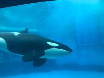 名古屋港水族館に投稿された画像（2021/8/14）