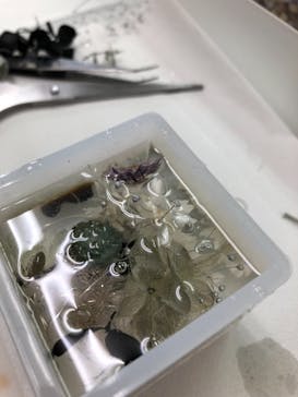 ずこうしつ〜sugamo〜に投稿された画像（2021/8/14）