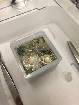 ずこうしつ〜sugamo〜に投稿された画像（2021/8/14）