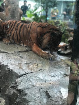 神戸どうぶつ王国に投稿された画像（2021/8/14）